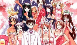 真后宫动漫,浪漫邂逅与权力角逐的奇幻世界